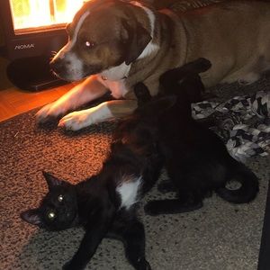 Meet your Posher, Mariska